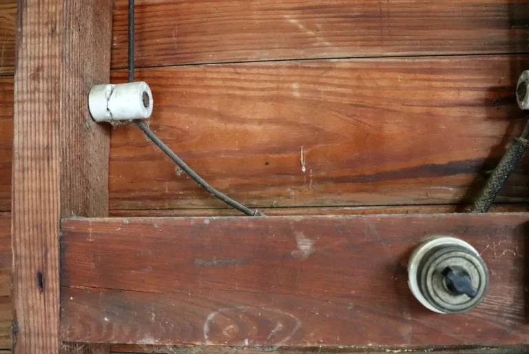 ceramic knob carrying a knob-and-tube conductor beside a period rotary switch